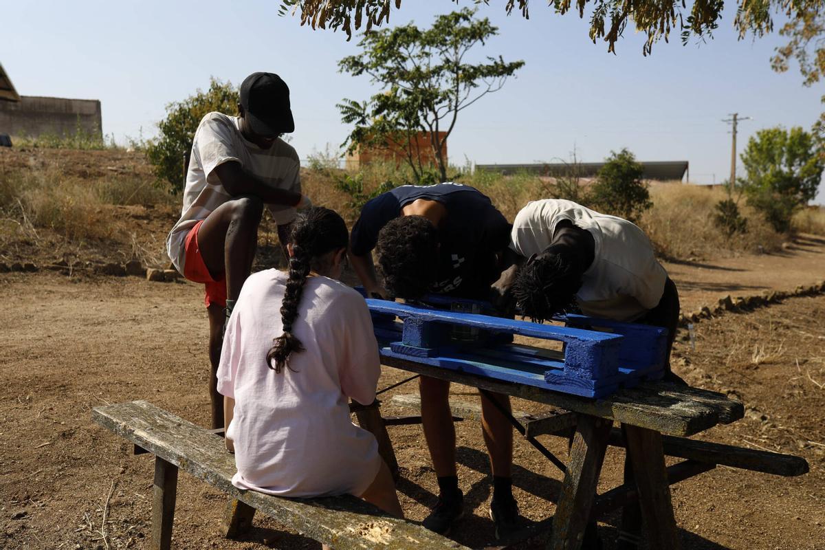 GALERÍA | Cerecinos del Carrizal, sede de un "Campo de Voluntariado"