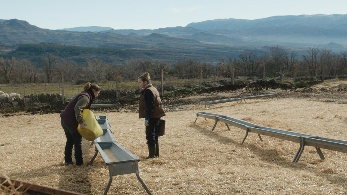 Fotograma de la película 'Lo que queda de ti'