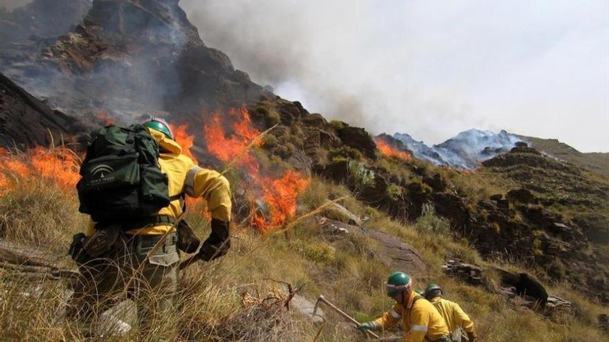 La superficie forestal quemada crece el 136%, aunque es de las más bajas de Andalucía