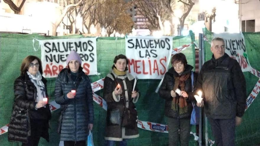 Último adiós a las melias de la avenida Constitución de Alicante