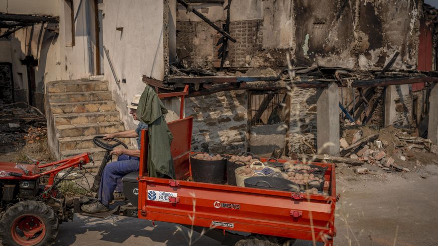 Un vecino de Alixo, devastada por el fuego, transporta patatas en su camión