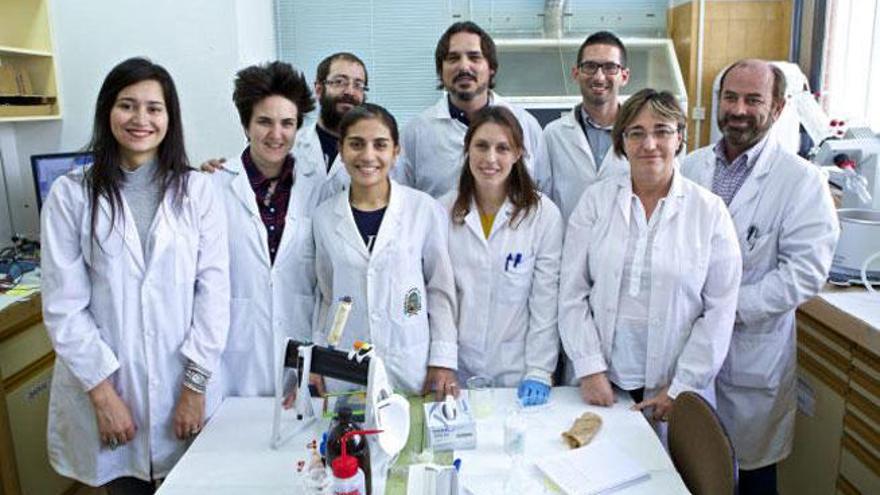 Grupo de Investigadores de la Universidad de Alicante