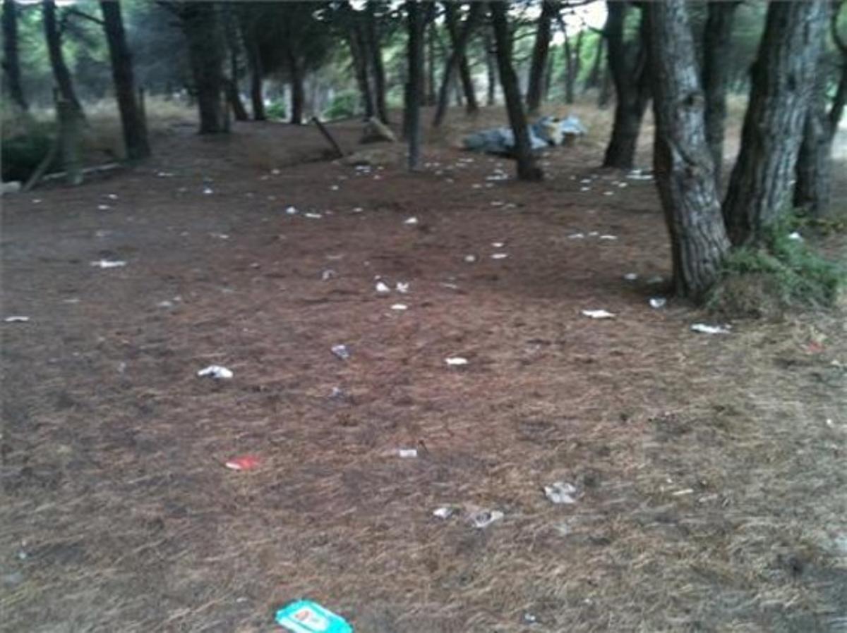 Bosc ple d’escombraries a Gavà.El bosc de la Pineda, al municipi de Gavà, és un lloc preciós que transmet sensació de tranquil·litat. Però el que podria ser un lloc idíl·lic, està envaït de tovalloletes i condons, a més de les restes de les escombraries de la gent que hi fa pícnics. El més trist és que l’ajuntament no fa res per arreglar-ho.