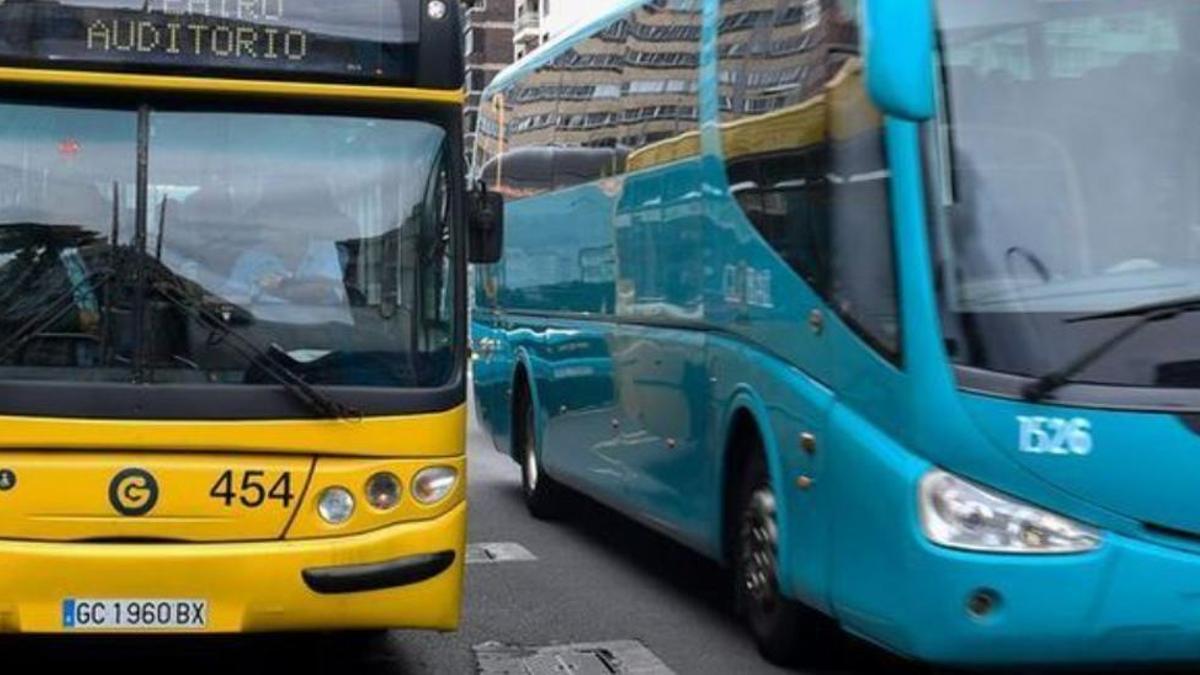 Vehículos de Guaguas Municipales y Global en el Parque San Telmo, en Las Palmas de Gran Canaria.