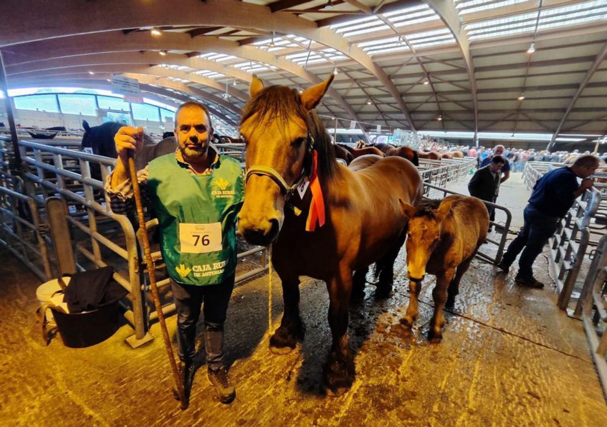 El sector del ganado equino reivindica su buen momento en Siero