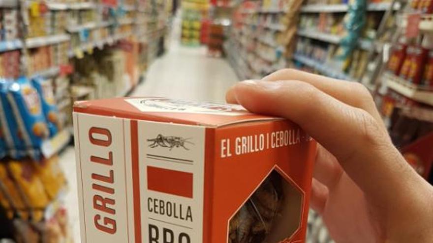 ¿Te atreves? Los insectos para comer llegan a grandes supermercados de Asturias