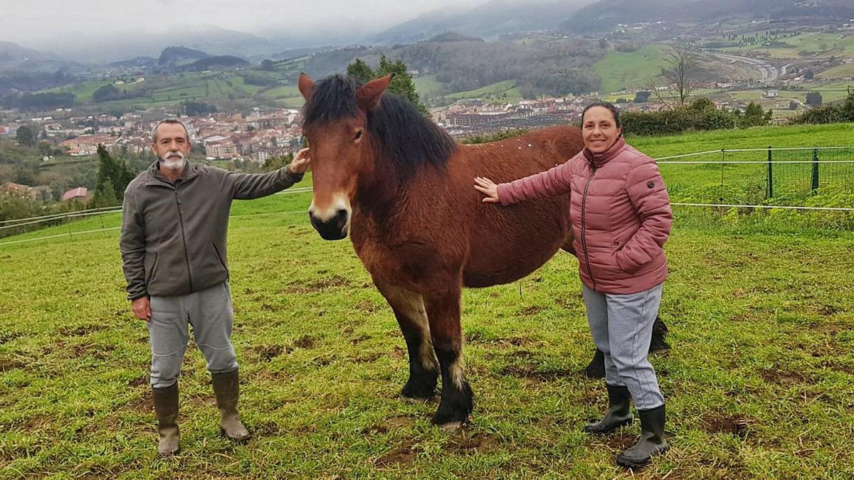 María Nieves Martín y Francisco Mesa con “Reina” en su finca de Abéu de Arriba. | Vicente Alonso