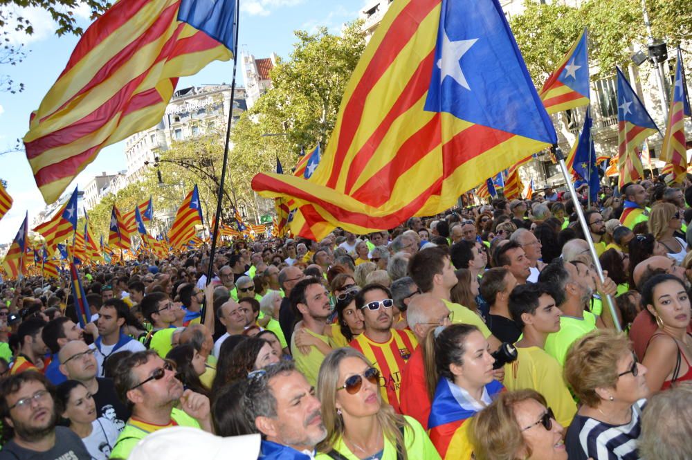 Berguedans a la concentració de la Diada