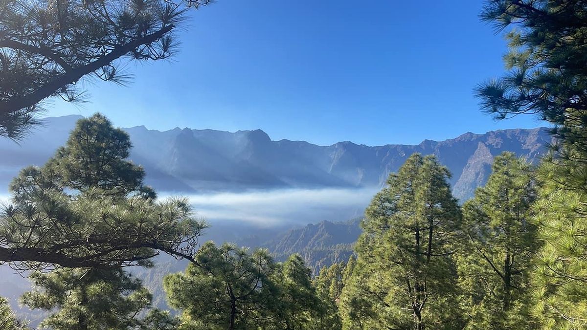 Declarado un incendio en La Caldera de Taburiente.