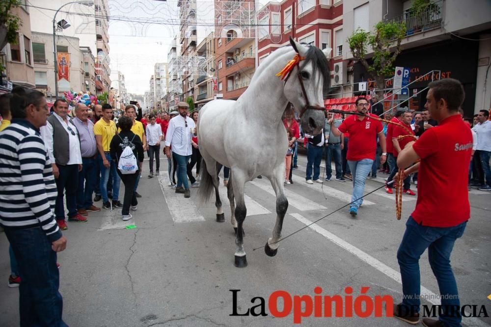 Caballos del Vino: Concurso morfológico (salida Pl