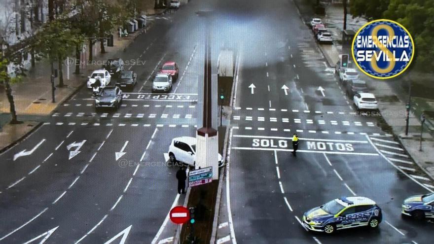 Corte total de la Avenida Alberto Jiménez Becerril por la caída de un árbol