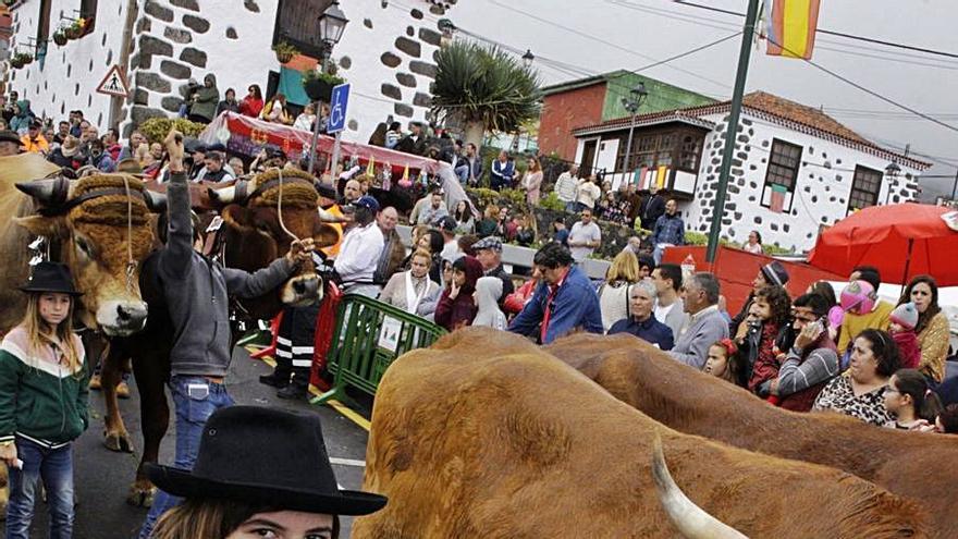 Enero de 2020, hoy nostalgia: bendición del ganado en La Matanza. | | D. PADRÓN