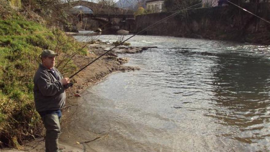 Un ribereño cangués pescando truchas a piscardo en la zona salmonera del Sella, en la jornada de ayer.