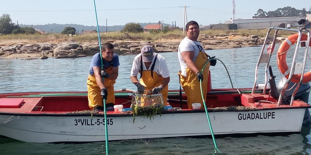 Marisqueo en Arousa