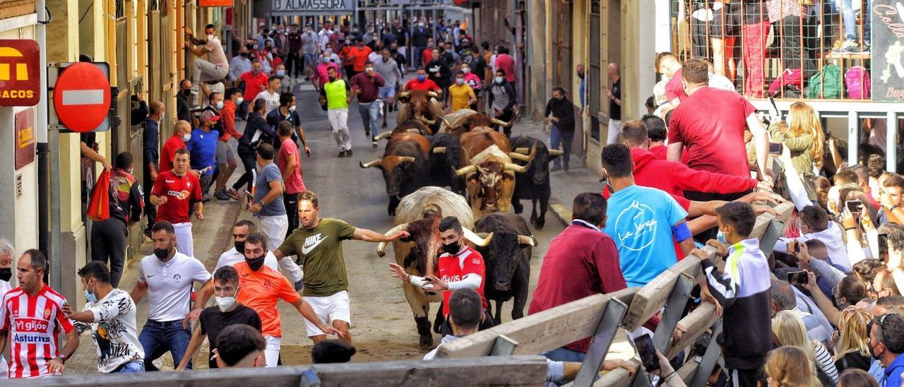 Imagen del encierro de &#039;bous al carrer&#039; celebrado en Almassora durante la jornada del sábado.