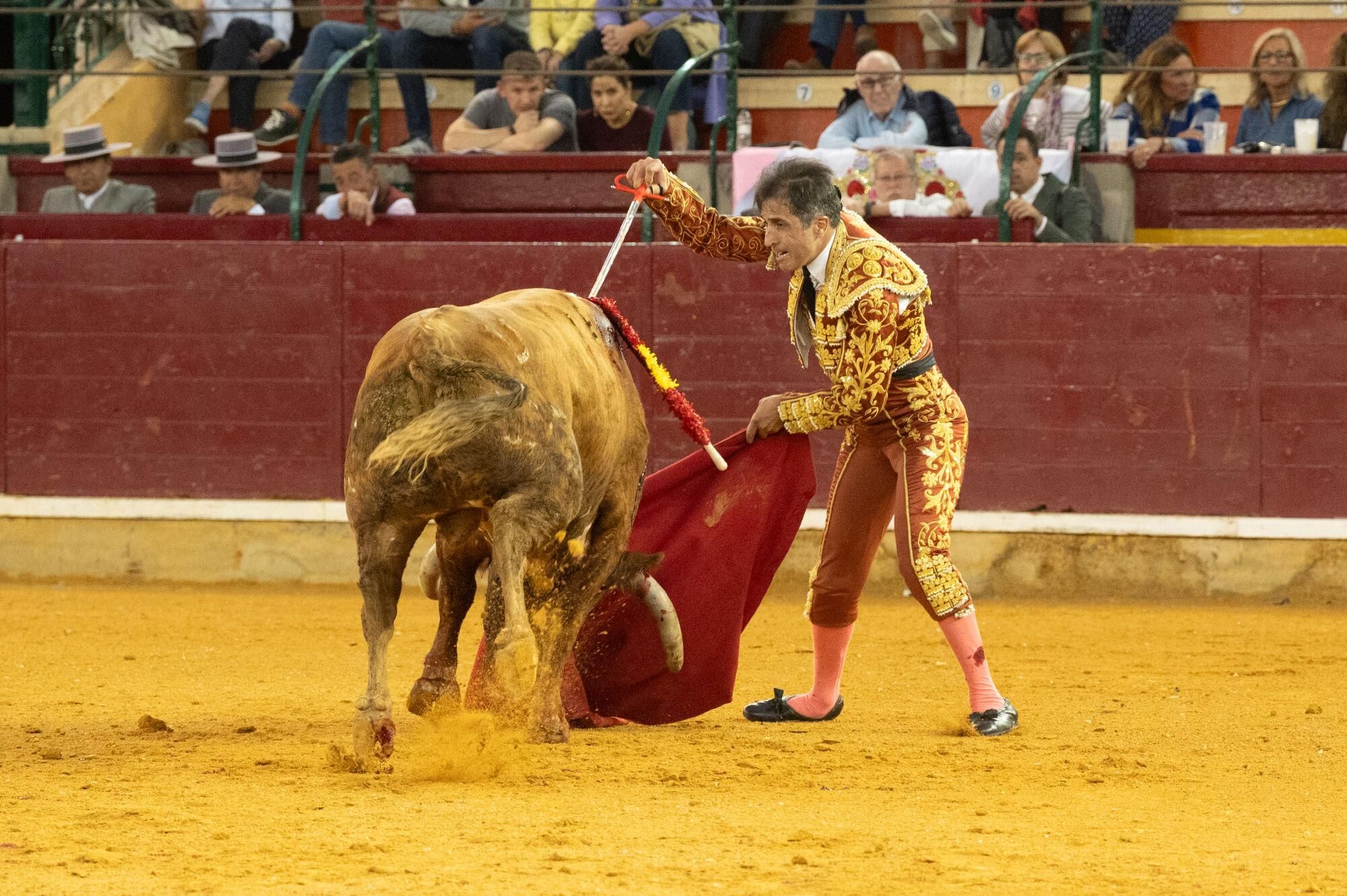 Concurso de ganaderías de la Feria del Pilar