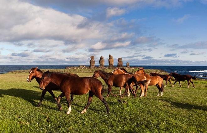 Caballos en la Isla de Pascua