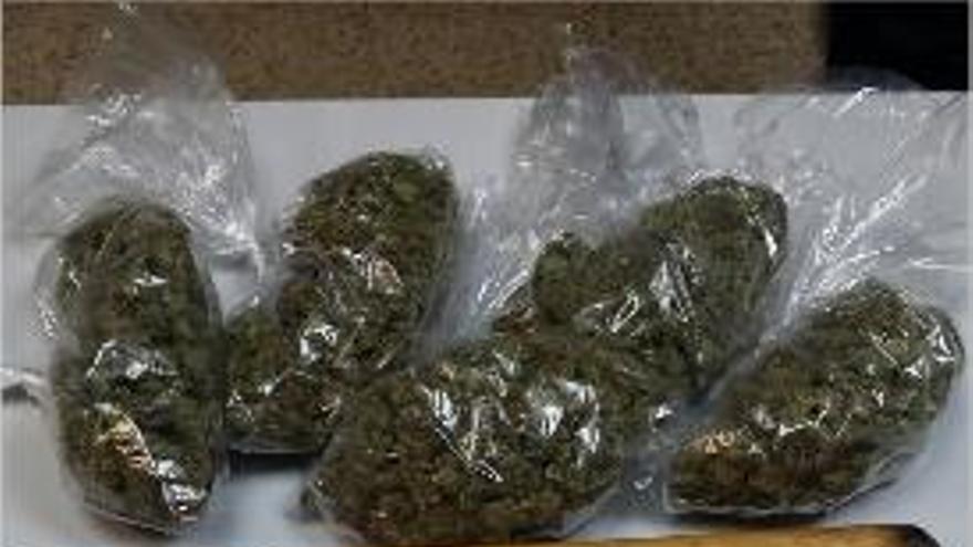 Les bosses de cànnabis i les armes blanques requisades a Lloret.