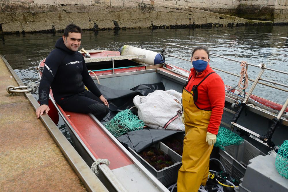 La primera jornada concluyó con unas capturas conjuntas de unos 800 kilos. / G. Núñez