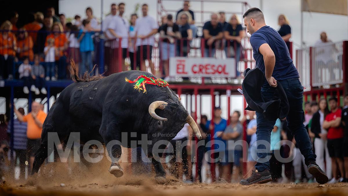 Bous a Les Alqueries 2025