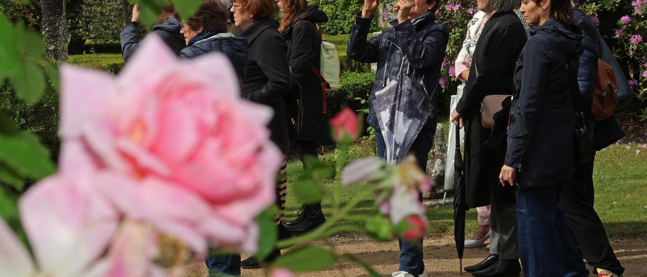 Los jardines del Quiñones de León, un lienzo floral y arbóreo para guíar los sentidos