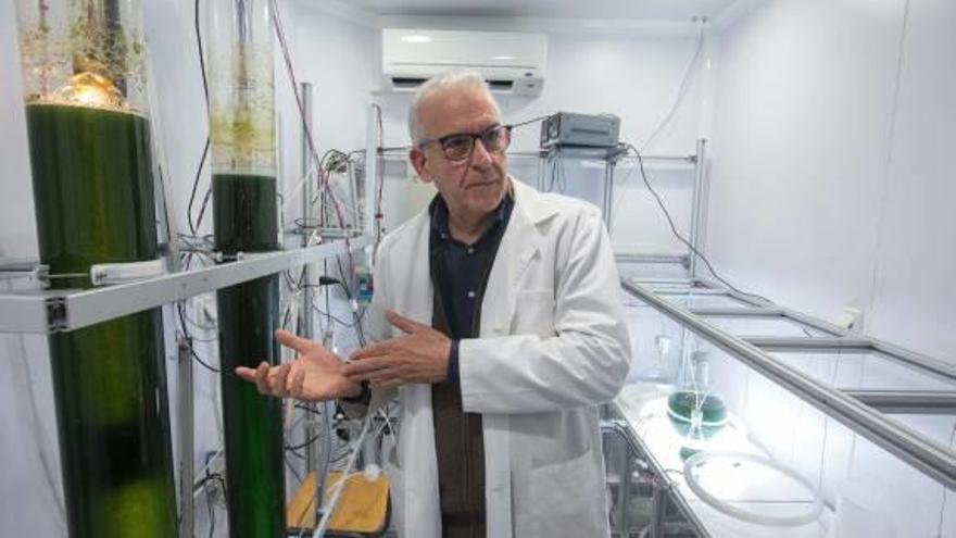 Marcilla con los recipientes de 20 litros con espirulina y tubos luminiscentes dentro en la planta piloto.