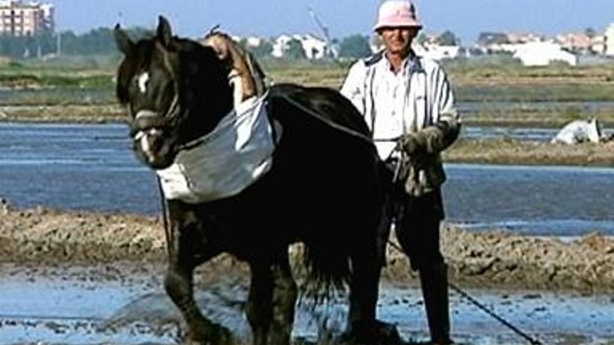 Fotograma del reportaje sobre la Albufera.