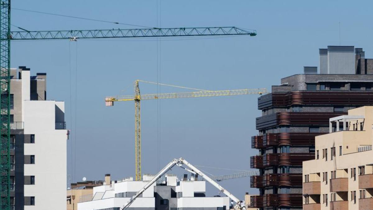 Grúas en una zona de construcción de viviendas en Madrid.