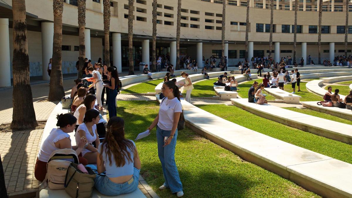 Varios alumnos en los exteriores del campus de la Universidad de Alicante, la UA.