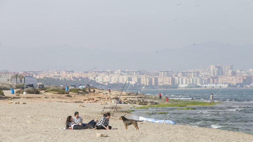 Instan a Costas a retirar el proyecto para urbanizar la playa de Agua Amarga en Alicante