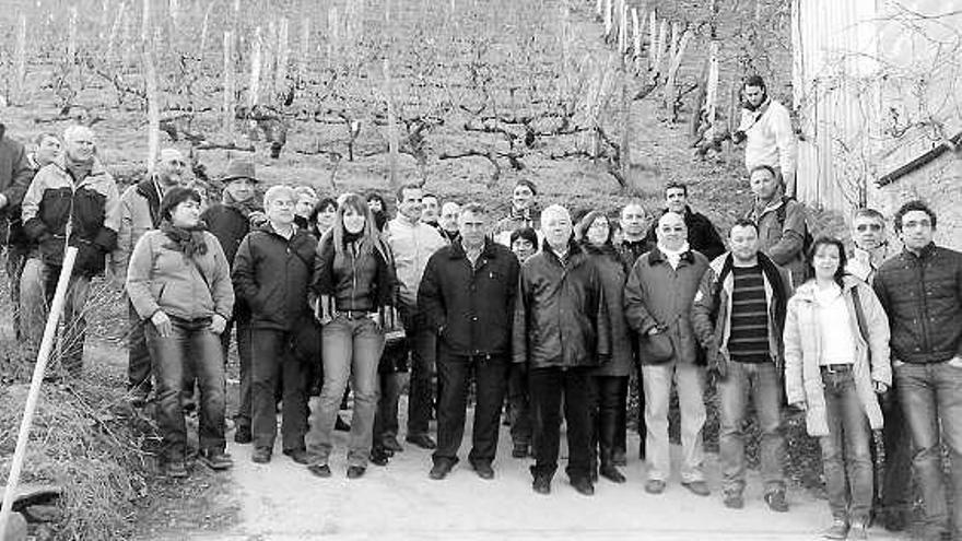 El grupo de expertos en enfermedades de las vides, frente a la viña de Las Barzaniellas.