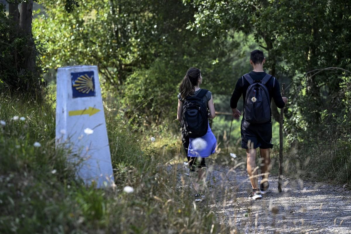 Camino de Santiago.