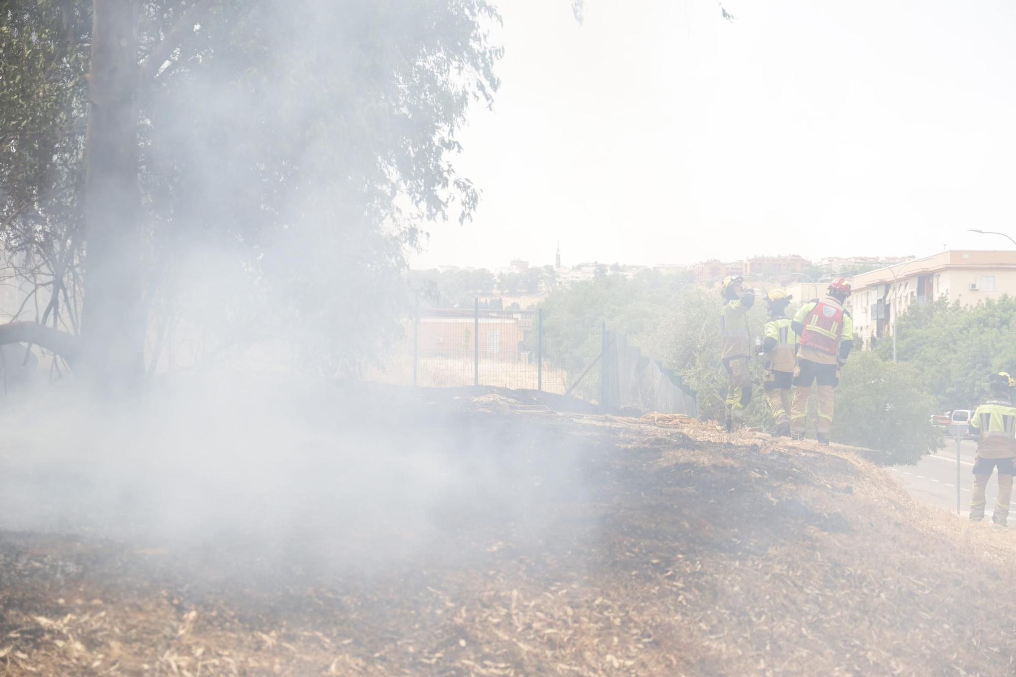 Incendio de pastos en unas pistas de fútbol de La Mejostilla