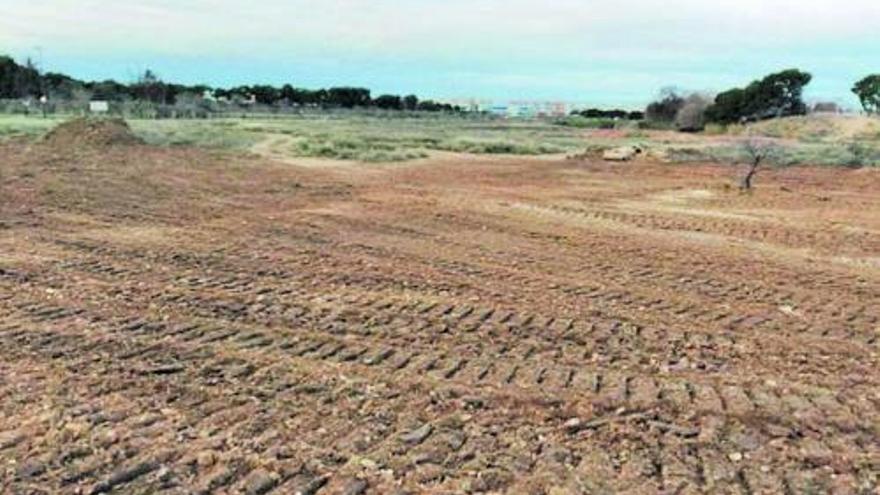 Proyecto Bosque de los Zaragozanos. Dudas y preguntas