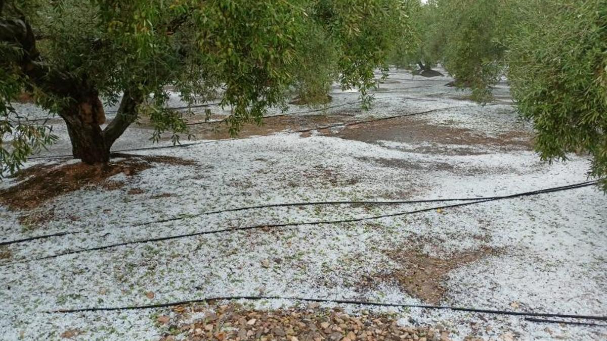 La lluvia y el granizo han impactado en la agricultura en 2025
