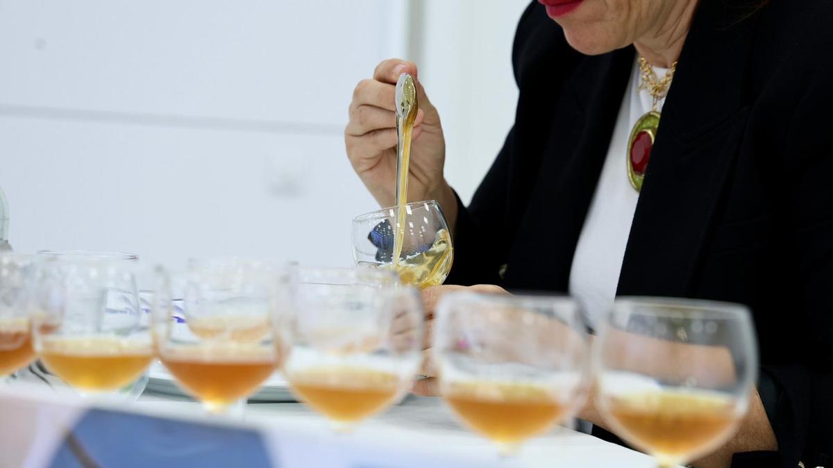 Varias de las muestras a concurso.