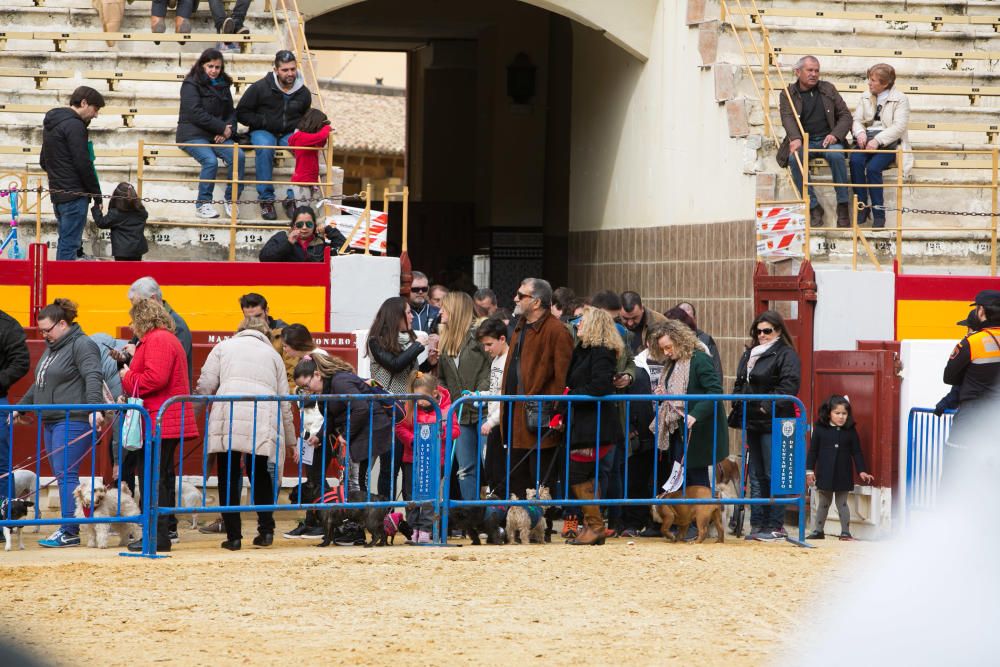 La comisión de fiestas del Portate de San Antón decidió aplazar este acto por el temporal que aconteció la semana pasada