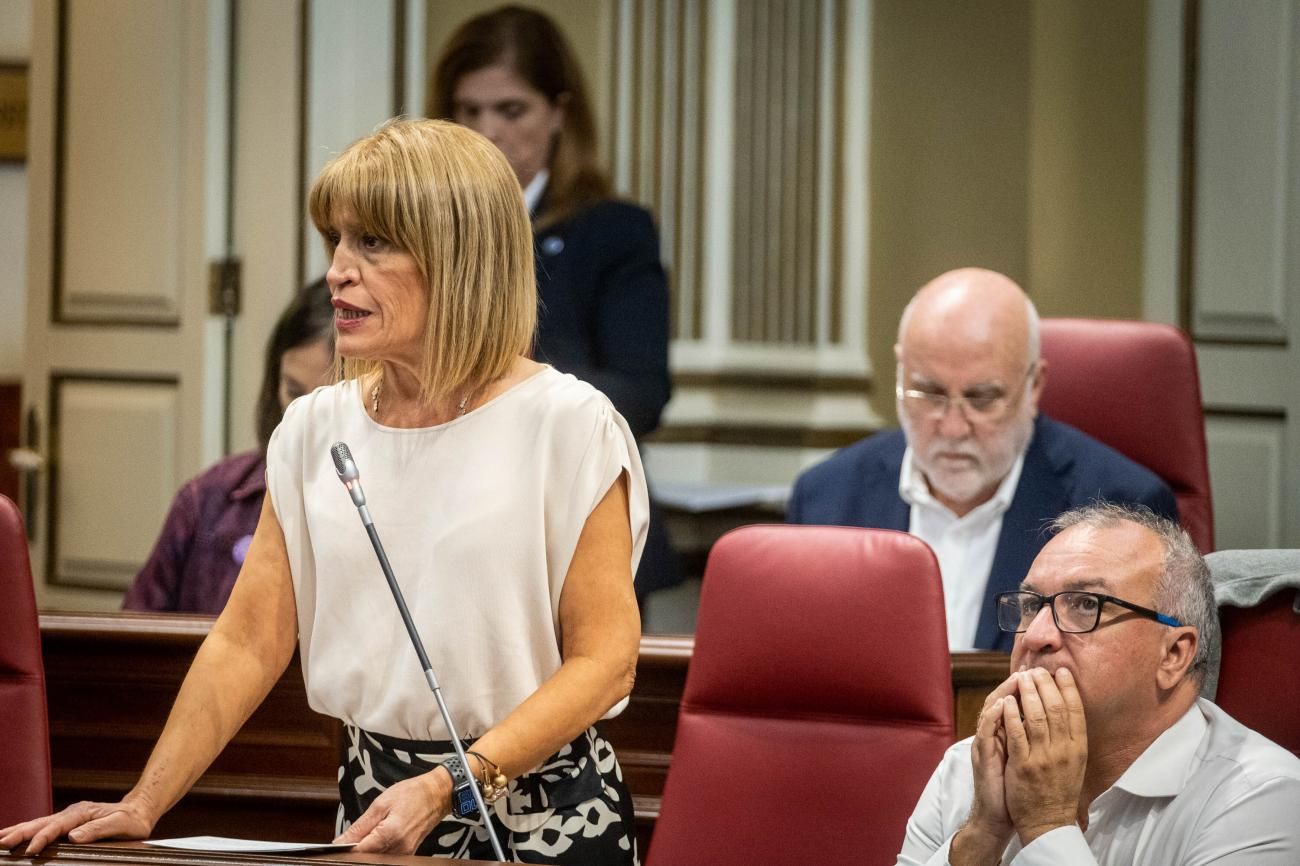 Pleno del Parlamento de Canarias, 08/11/2022