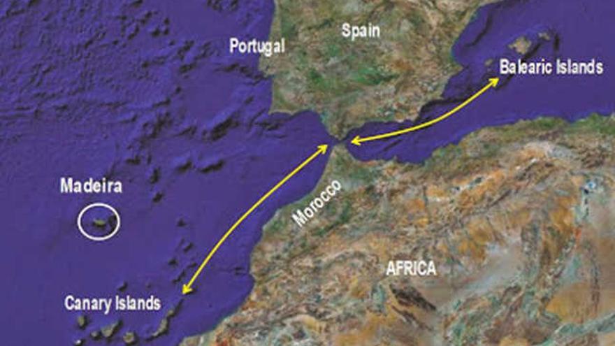 Ilustración que figura en un trabajo de Arnáiz sobre la ruta del atún que seguían pescadores del Mediterráneo a Canarias. | lp
