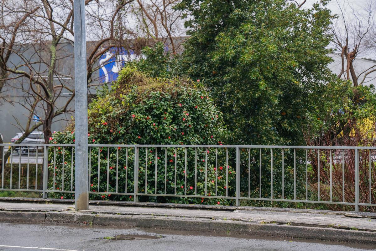 Otra vista del mal estado del puente.