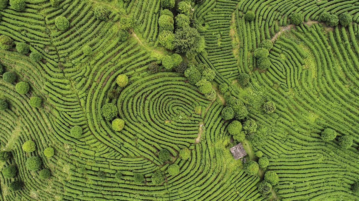 Sri Lanka, el país de la eterna amabilidad