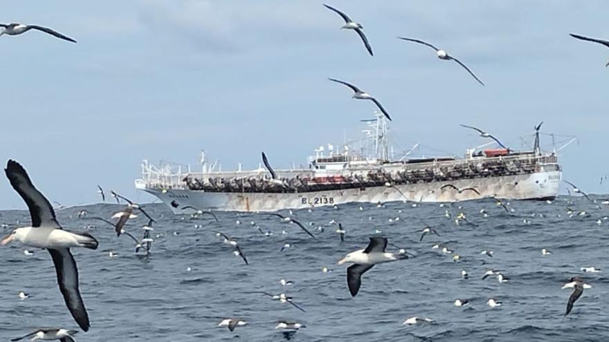 Bruselas rechaza apercibir por pesca ilegal a China frente a su acoso a la flota de la UE