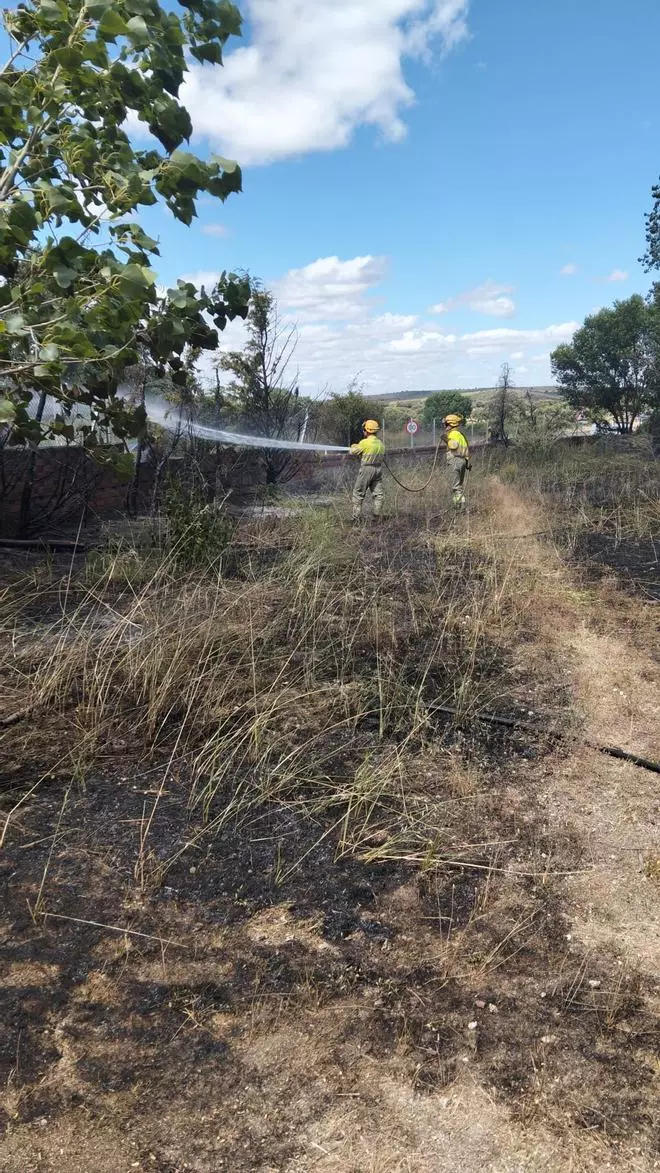 Sofocado un incendio forestal en Pereruela de Sayago