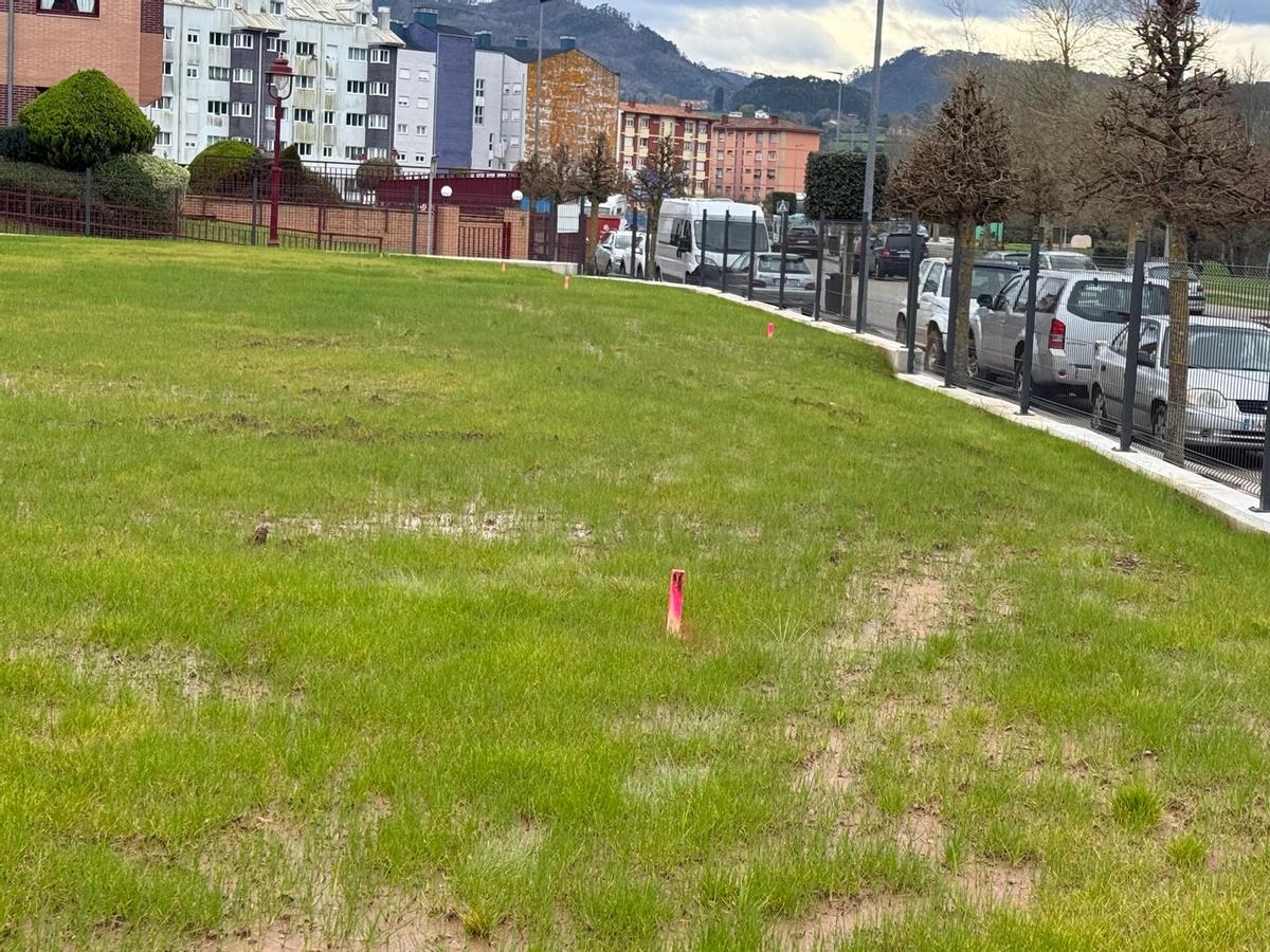 Las señales que marcan la nueva línea de deslinde para La Barquerina.