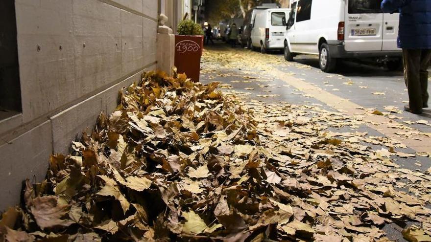 Fulles acumulades en un carrer de Manresa