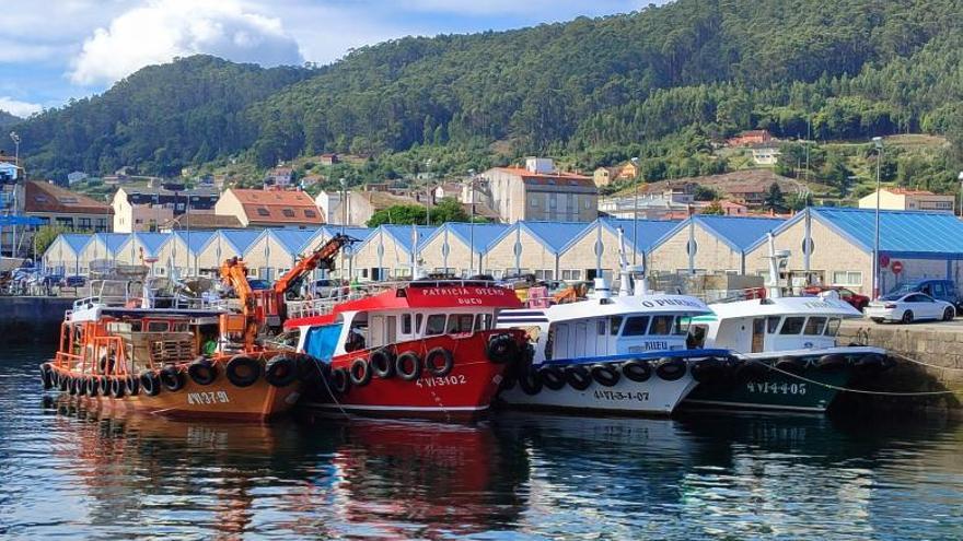 La reaparición de la toxina cierra un polígono en Bueu, el único por ahora en Galicia