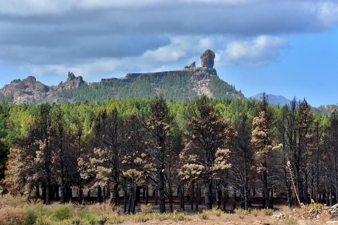 INCENDIO CUMBRE