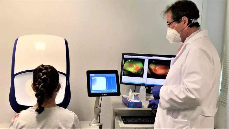 Investigadores de Alicante trabajan en una terapia celular para tratar la degeneración macular