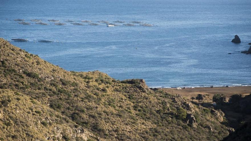 La UPCT desarrolló un estudio sobre el estado de la zona.