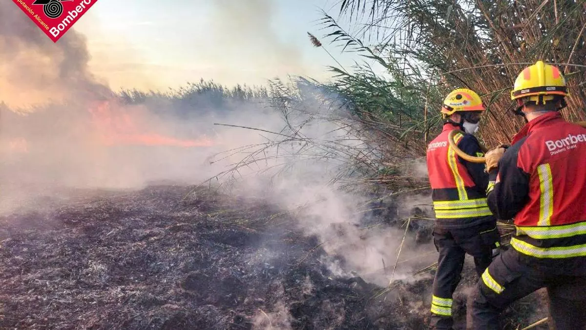 Un espectacular incendio afecta a un palmeral junto a la autovía y la zona industrial de Albatera y San Isidro